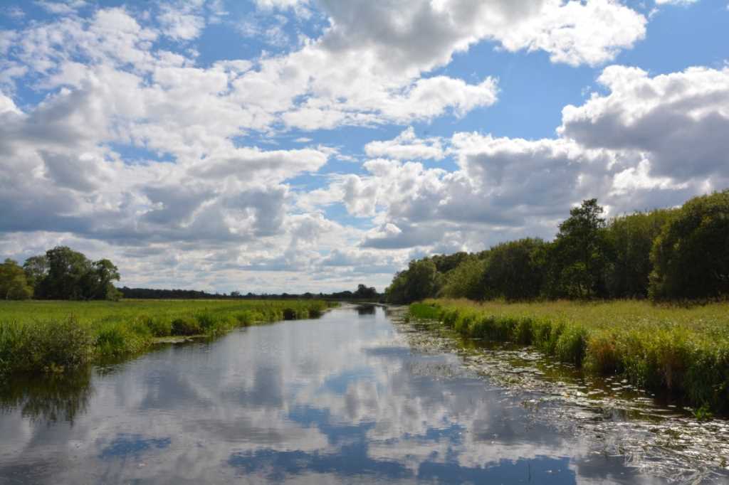 DSC_6080Mittel_.JPG